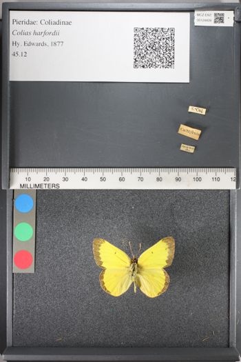 Media type: image;   Entomology 124409